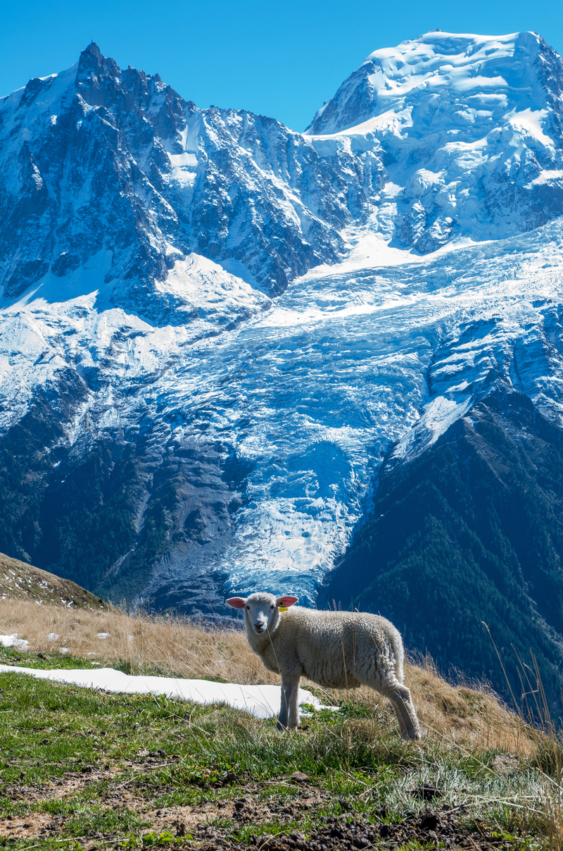 Le glacier des Bossons (Haute-Savoie)